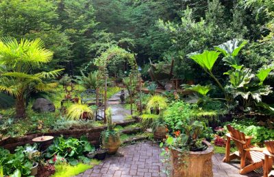 Photo Meditation garden