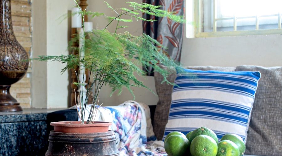 Photo "How to create a calm atmosphere in your living room"