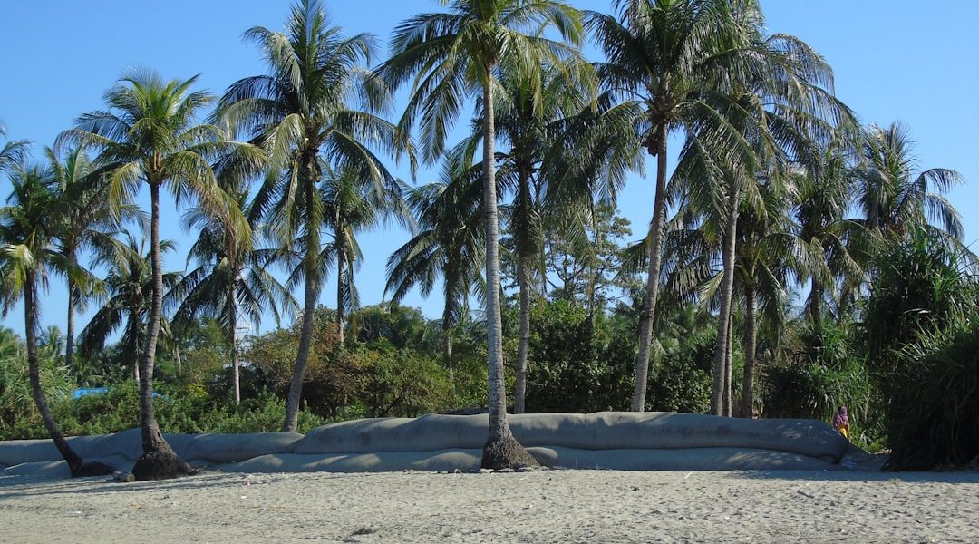 Photo Beach photo