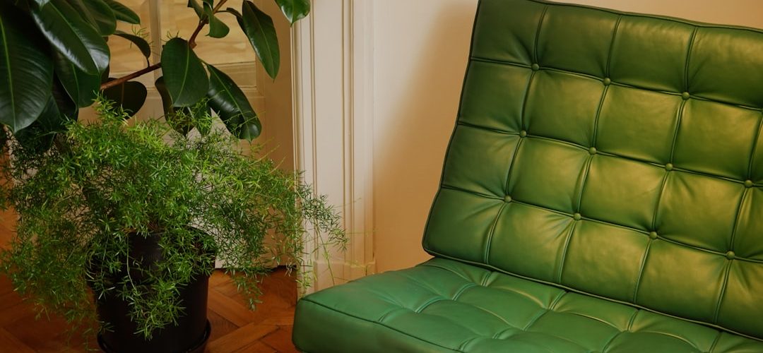 Photo Eco-friendly furniture