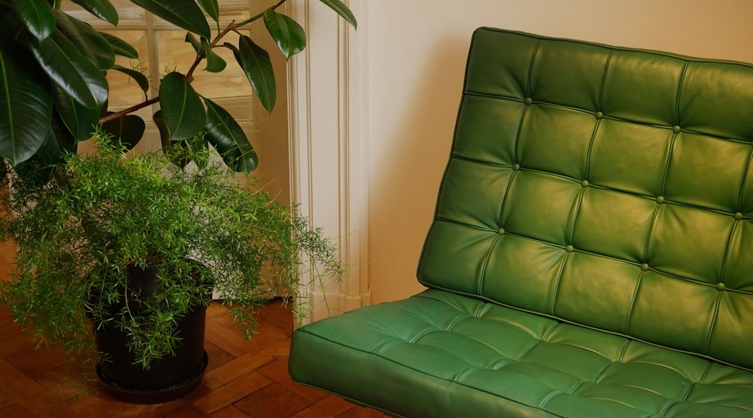 Photo Eco-friendly furniture